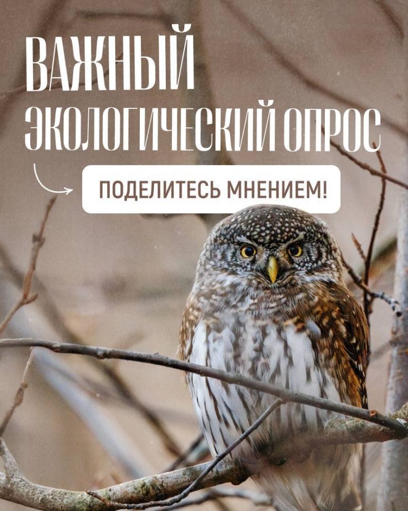 4bwWYvTA3e5Ls66gzo3XXXgIz0_d2yukM85_XnOWIw-NYfyV1IEBmhJiaUPKSagbw2s_IGAe9vldeL9T4q7kWO2i